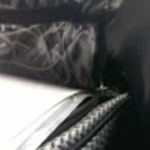 Meet your Posher, Shiffy